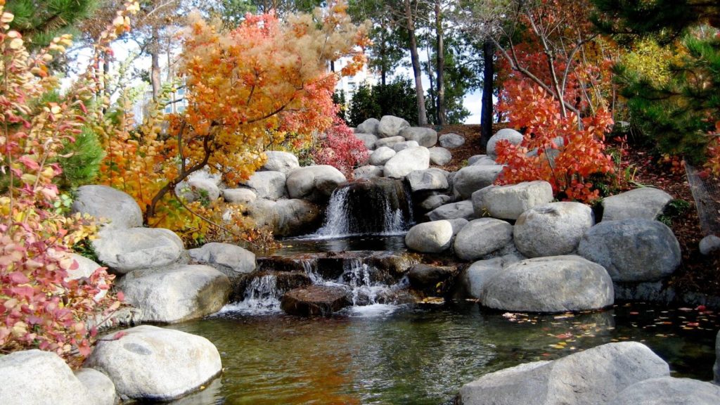 The Best Garden Trends for 2023