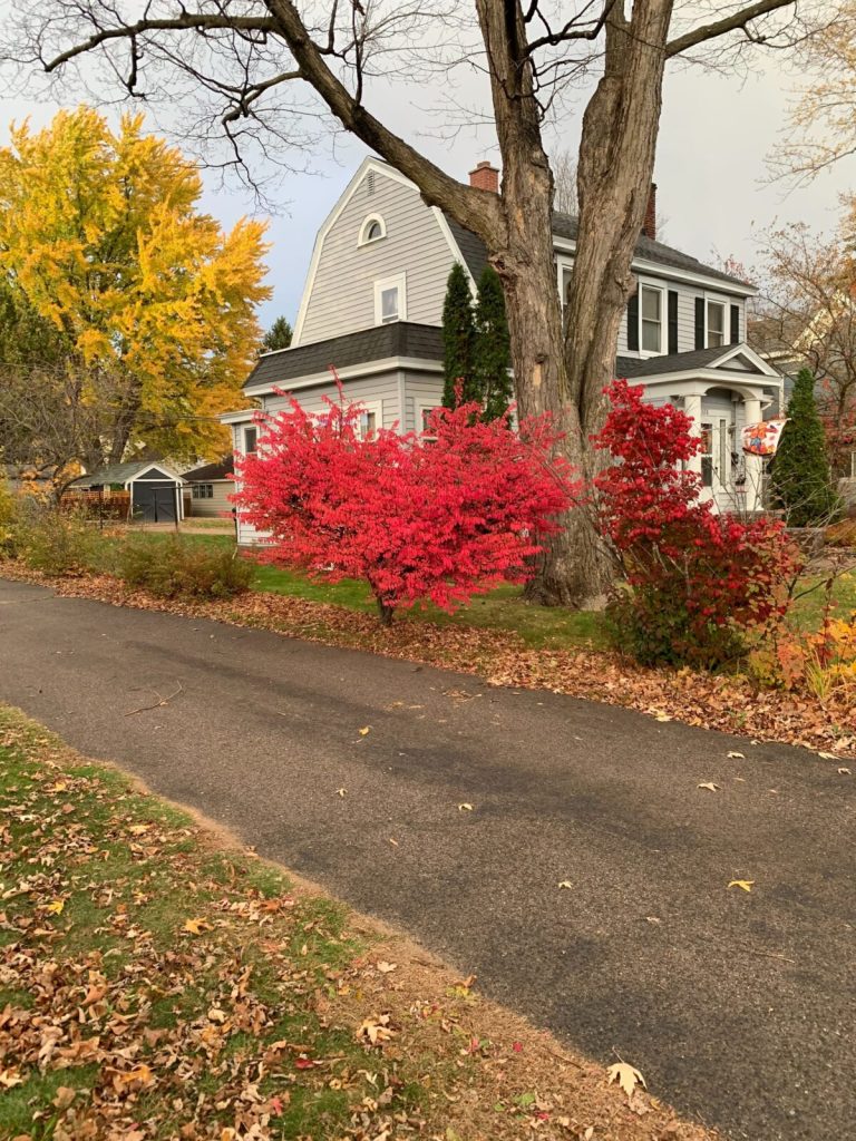 Asphalt Driveways