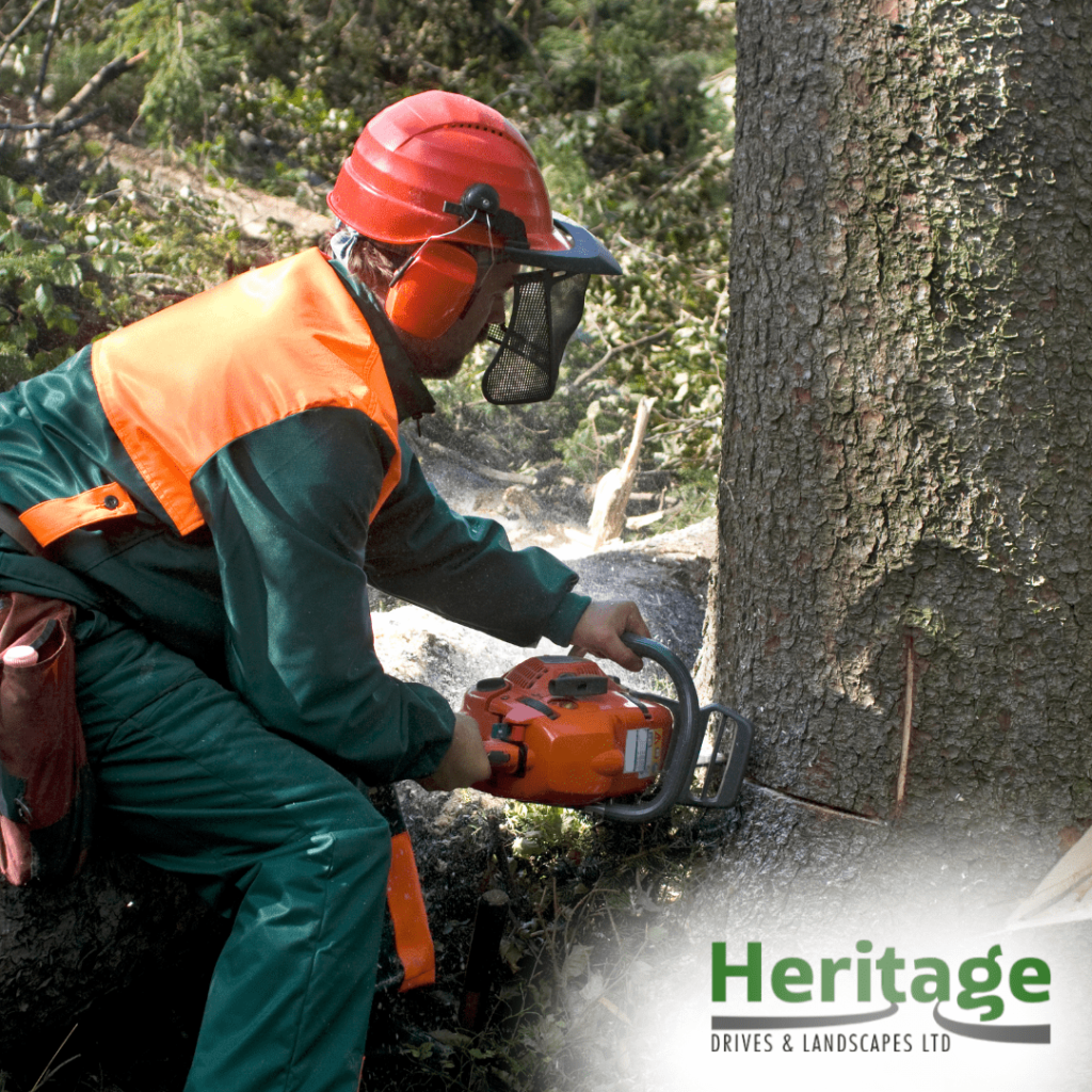 tree removal