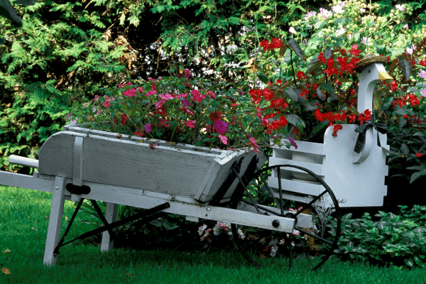Wheelbarrow and goose shaped quirky planter