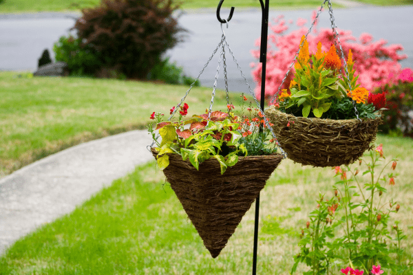 hanging quirky planter