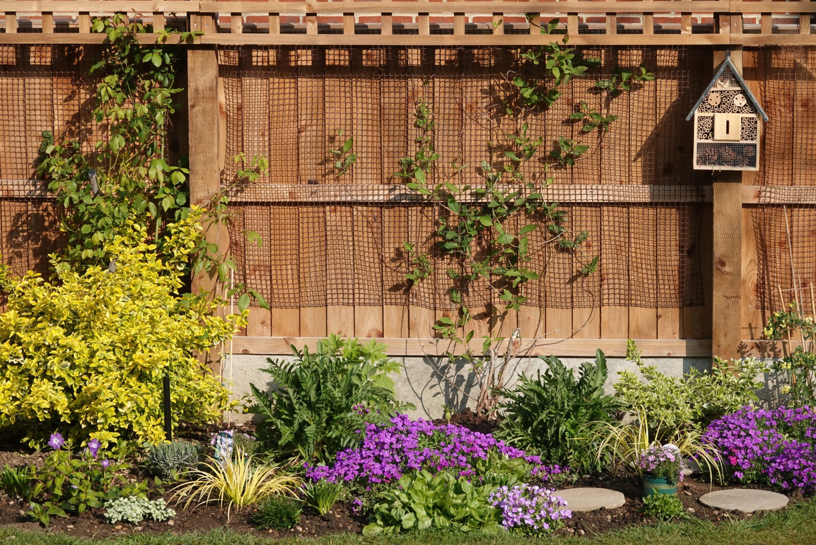 Cedar fencing in a sunny garden