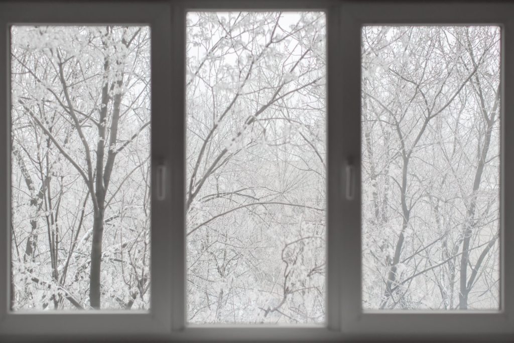 energy-efficient windows