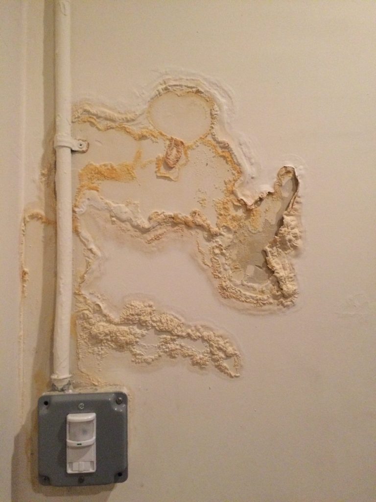 signs of damp