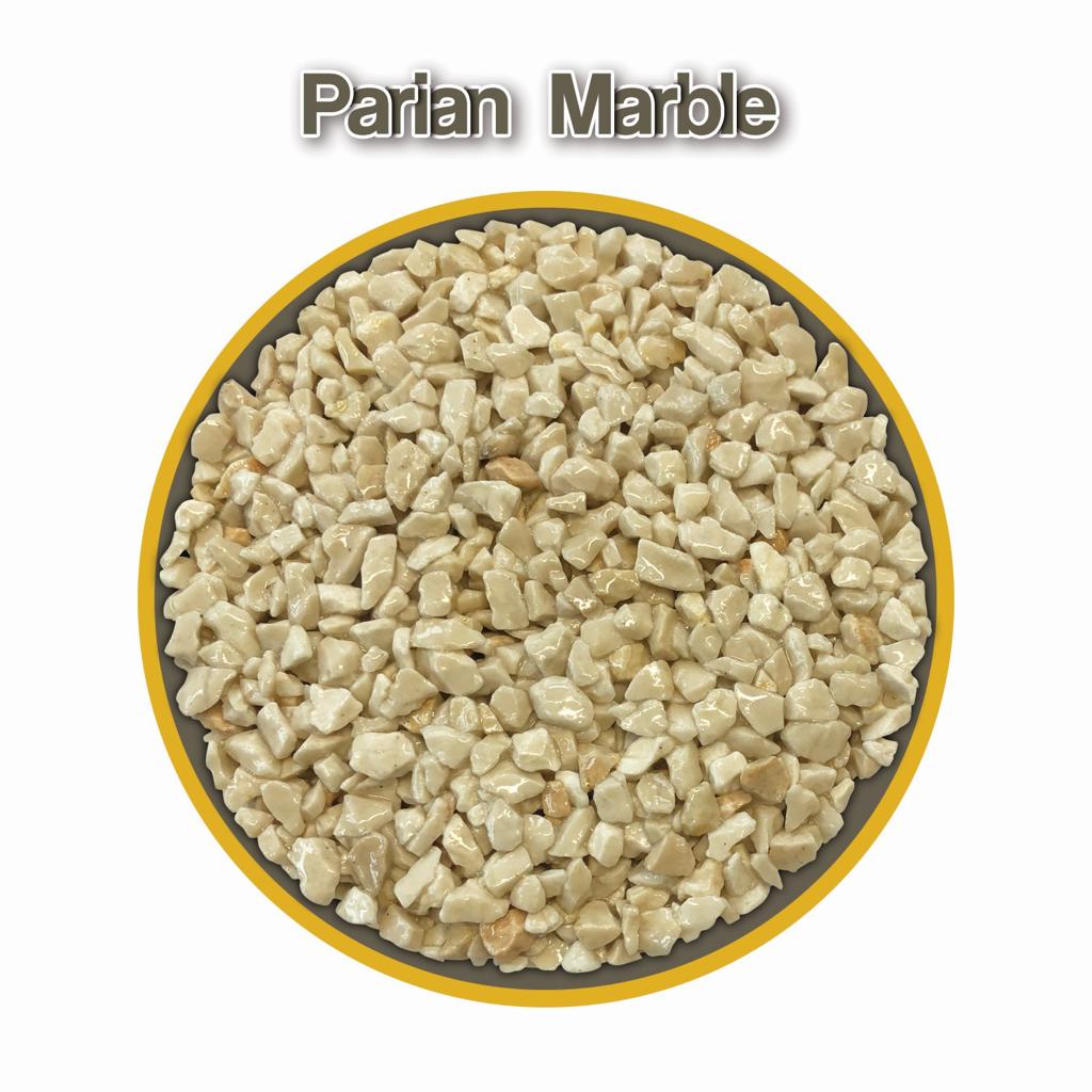 WhatsApp-Image-2023-11-15-at-09.08.41-21