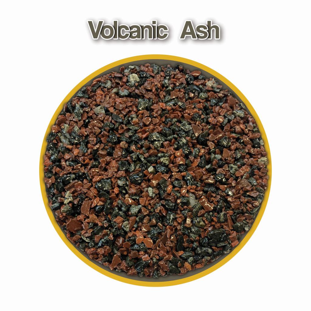 WhatsApp-Image-2023-11-15-at-09.08.41-23